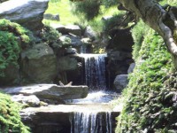 /album/galerie-photos-bassins-et-jeux-deau/a2-cascades-jardin-jardin-japonais-brooklyn-jardin-botaniques-xm-jpg/